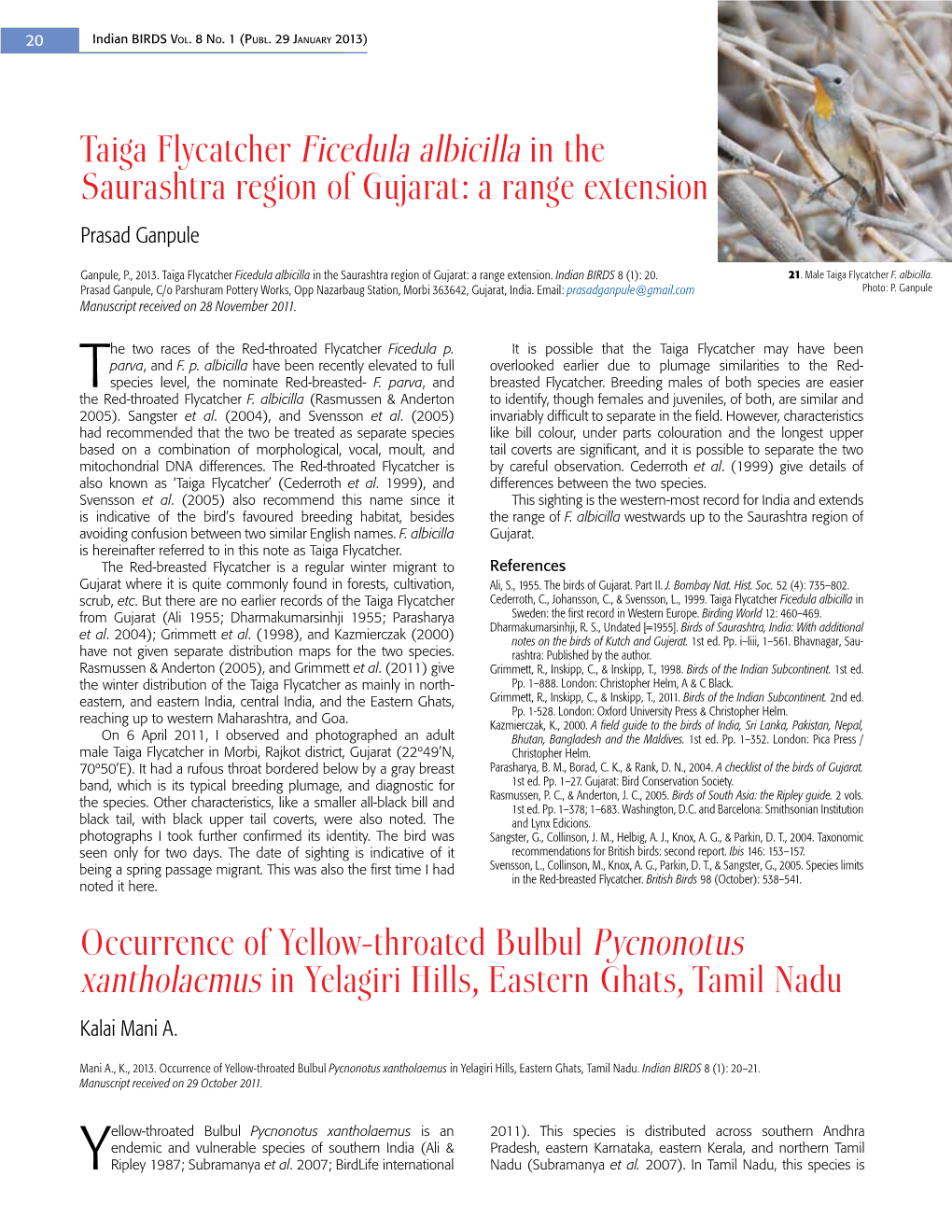 Taiga Flycatcher Ficedula Albicilla in the Saurashtra Region of Gujarat: a Range Extension Prasad Ganpule