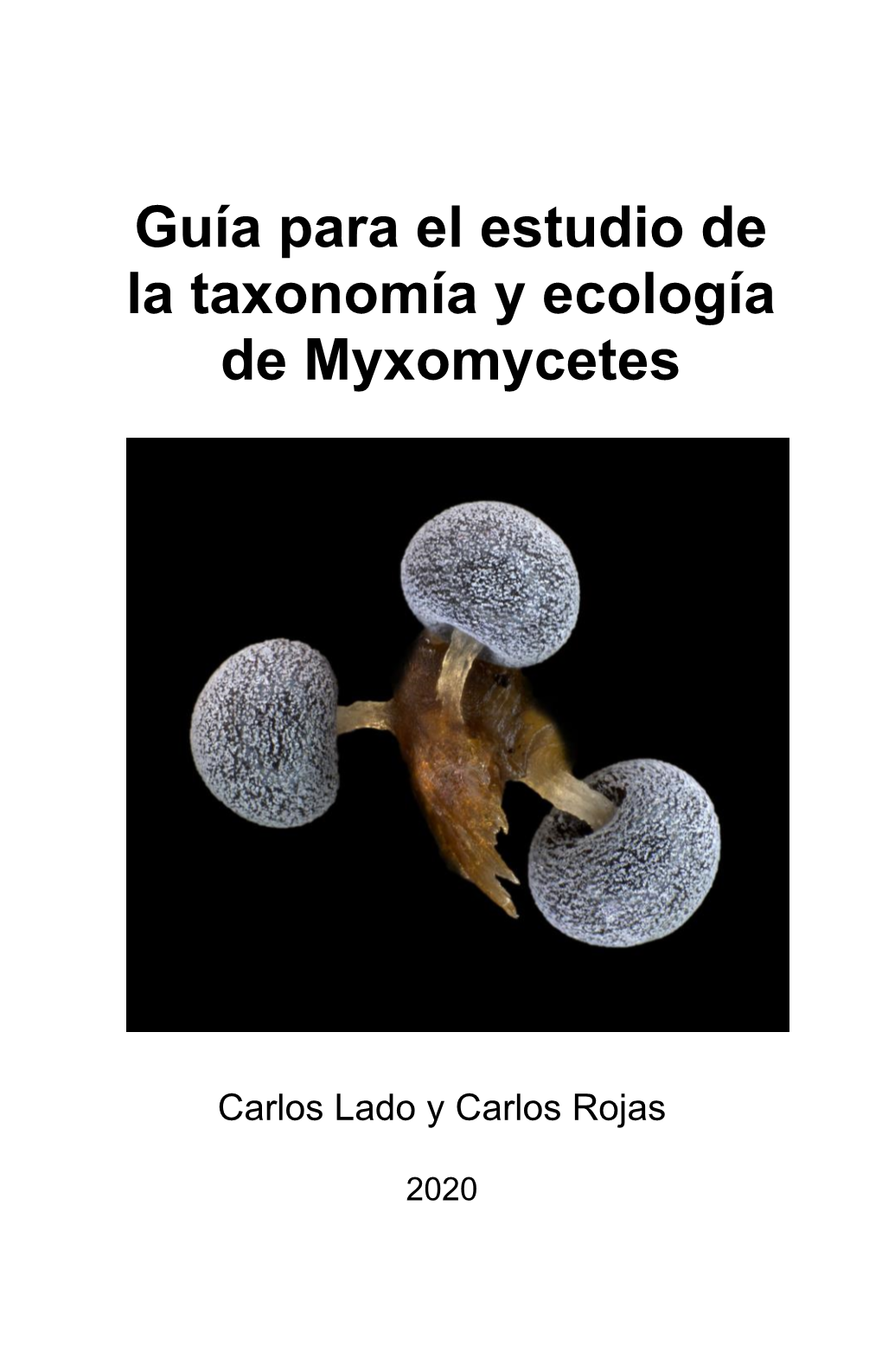 Guía Para El Estudio De La Taxonomía Y Ecología De Myxomycetes