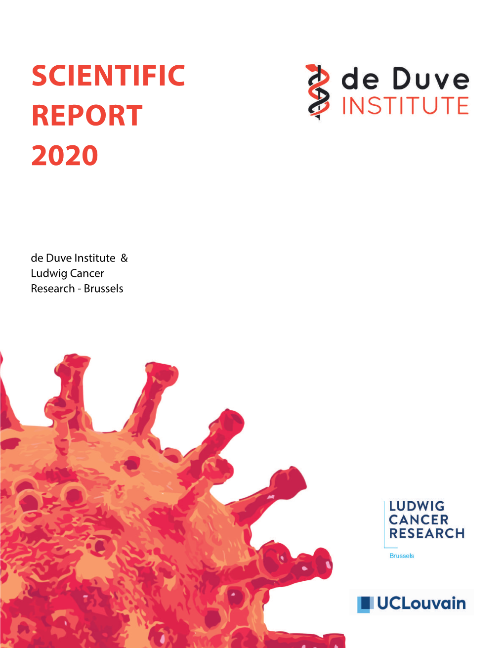 Annual Report DDUV 2020
