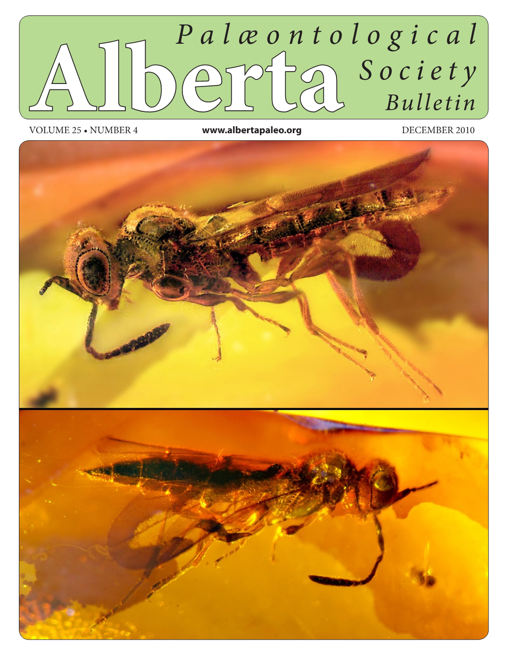 Alberta Palaeontological Society Bulletin December 2010