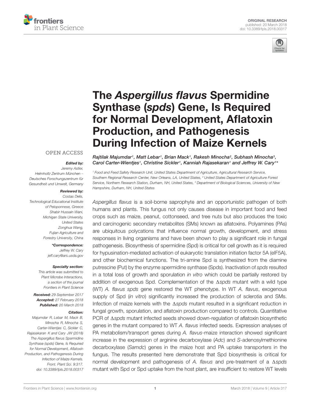 The Aspergillus Flavus Spermidine Synthase (Spds) Gene, Is Required