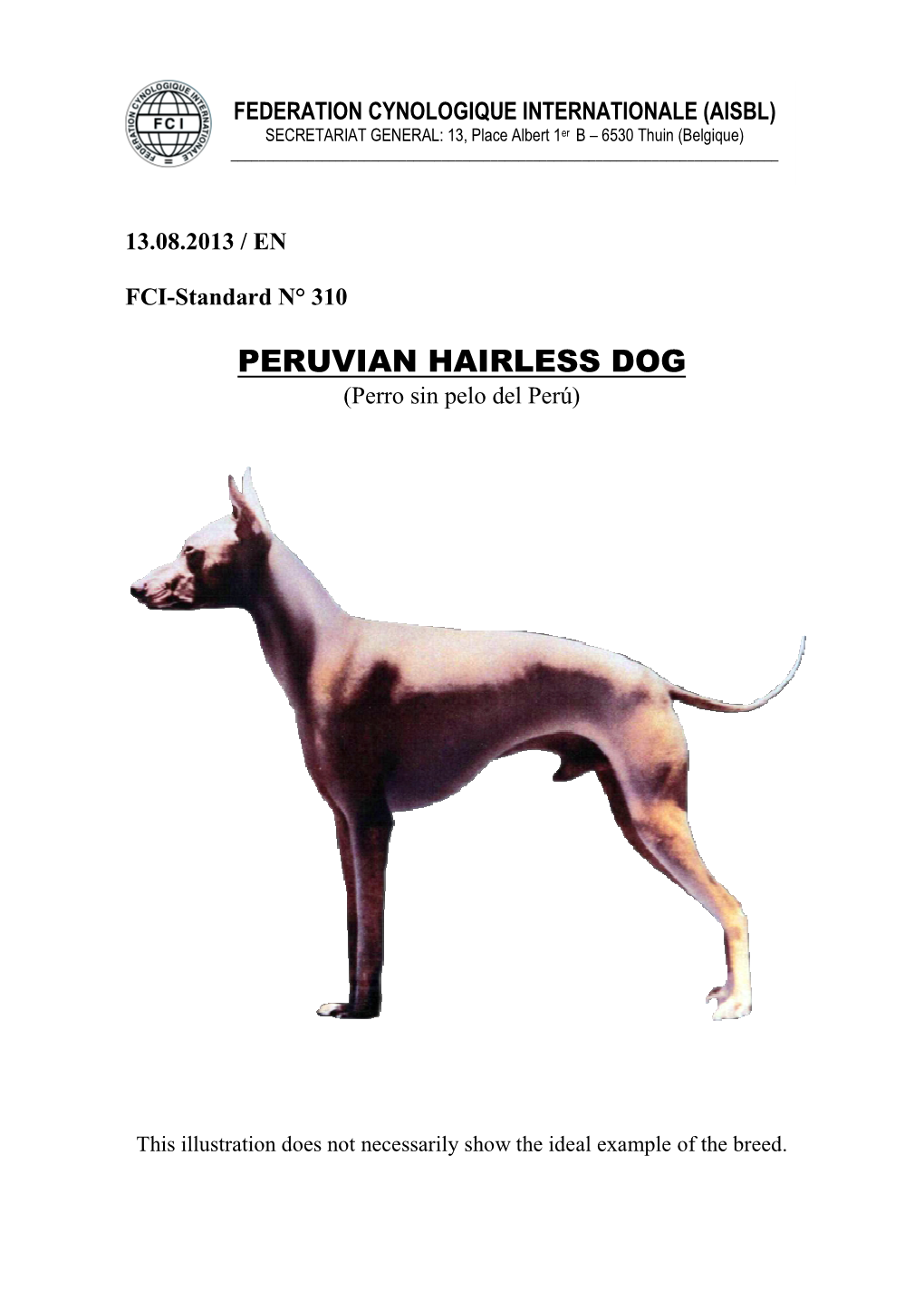 PERUVIAN HAIRLESS DOG (Perro Sin Pelo Del Perú)