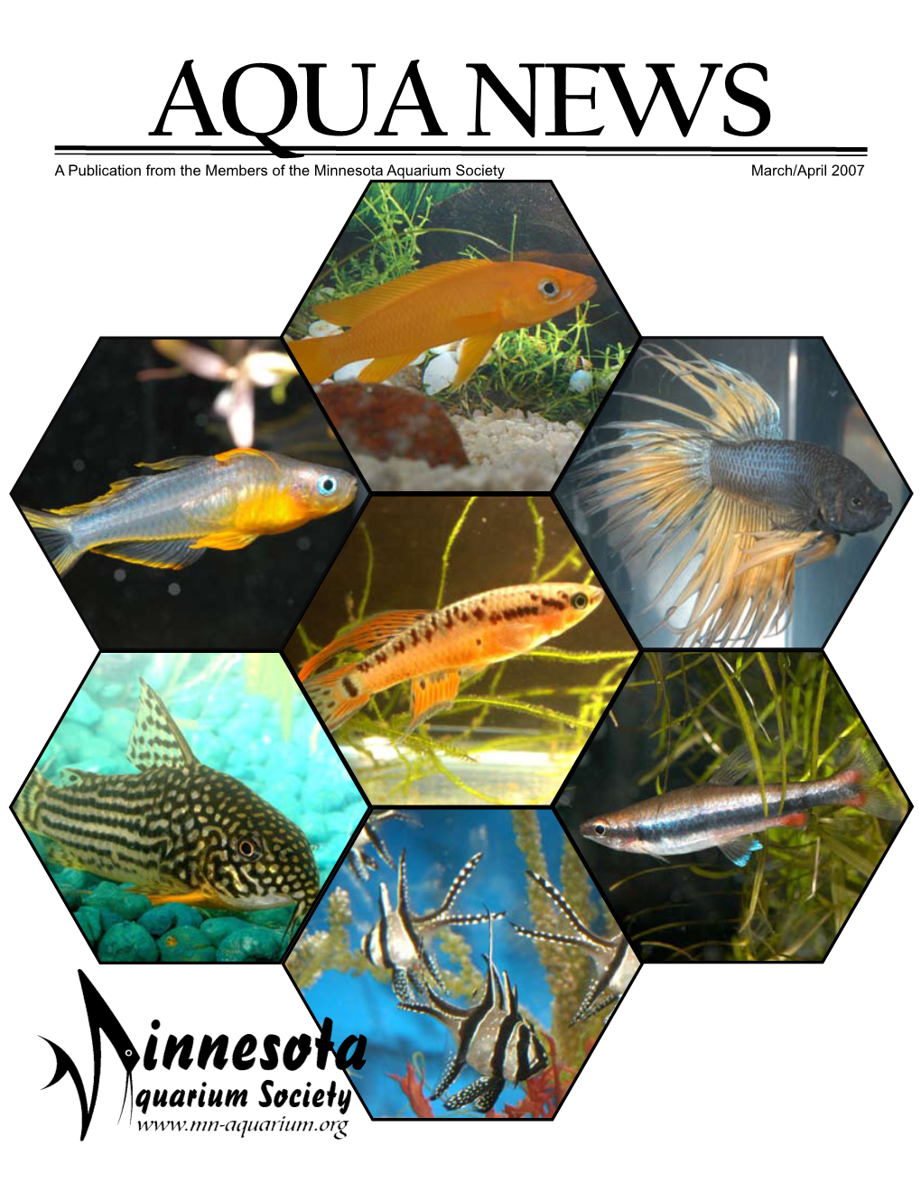 A Publication from the Members of the Minnesota Aquarium Society March/April 2007  AQUA NEWS March/April 2007