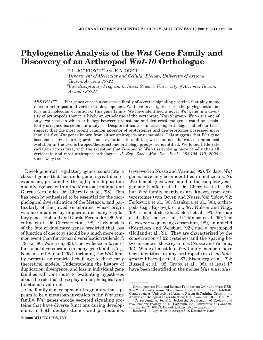 Phylogenetic Analysis of the Wnt Gene Family and Discovery of an Arthropod Wnt-10 Orthologue
