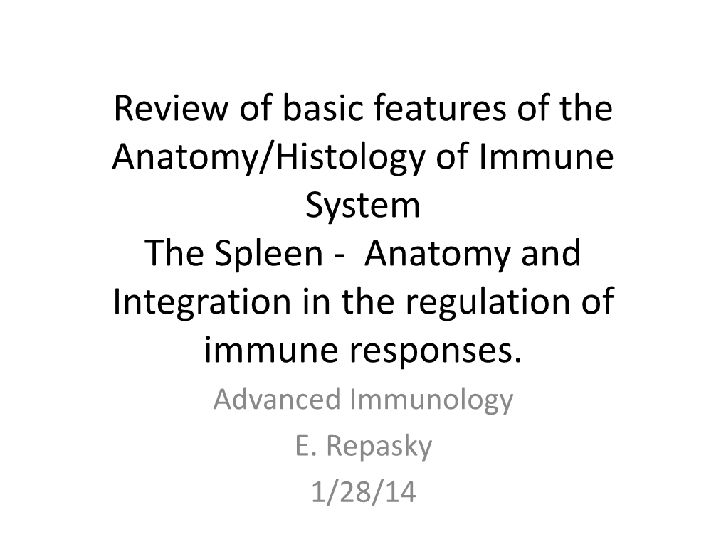 The Spleen - Anatomy and Integration in the Regulation of Immune Responses