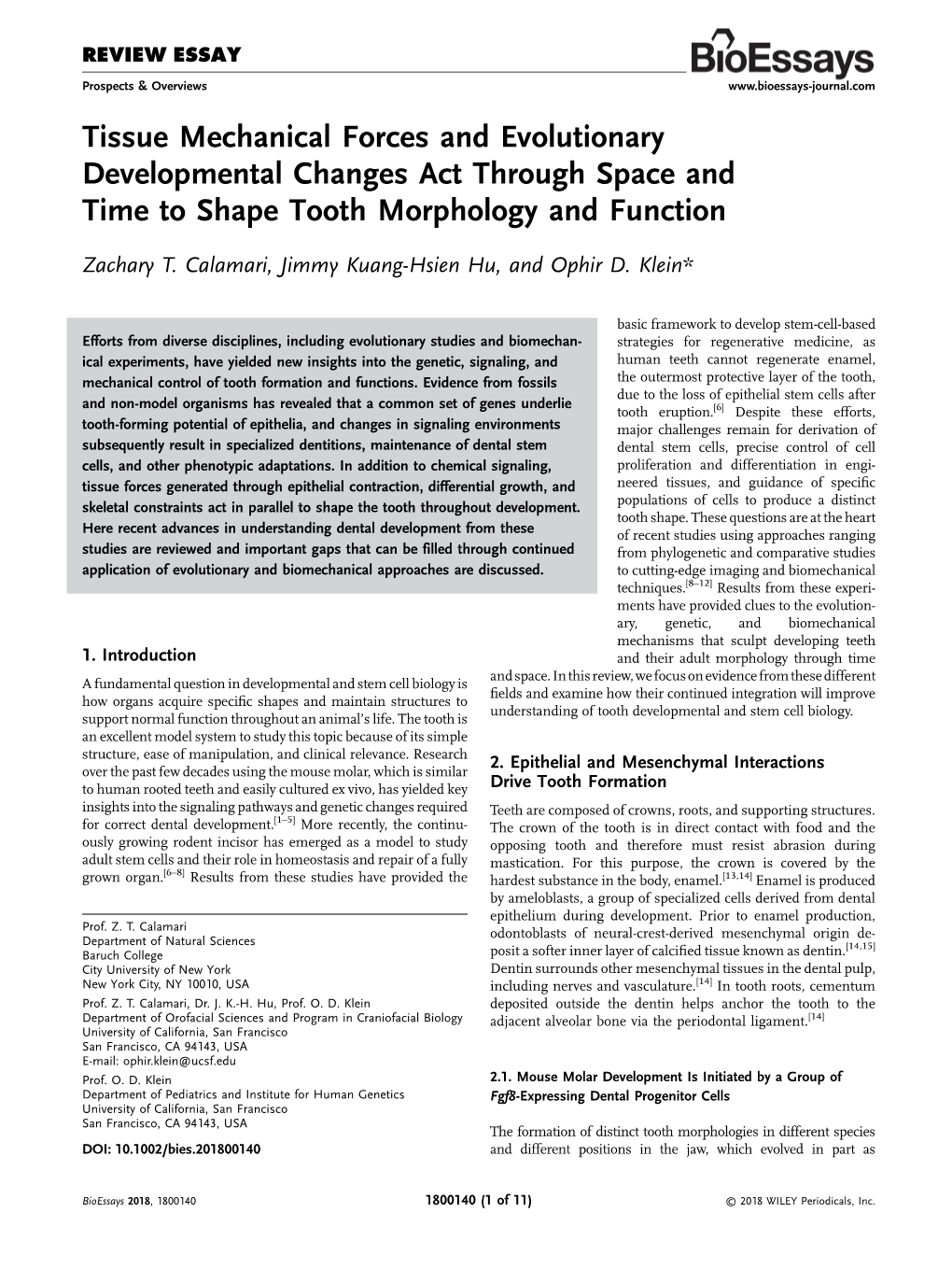 Tissue Mechanical Forces and Evolutionary Developmental Changes Act Through Space and Time to Shape Tooth Morphology and Function