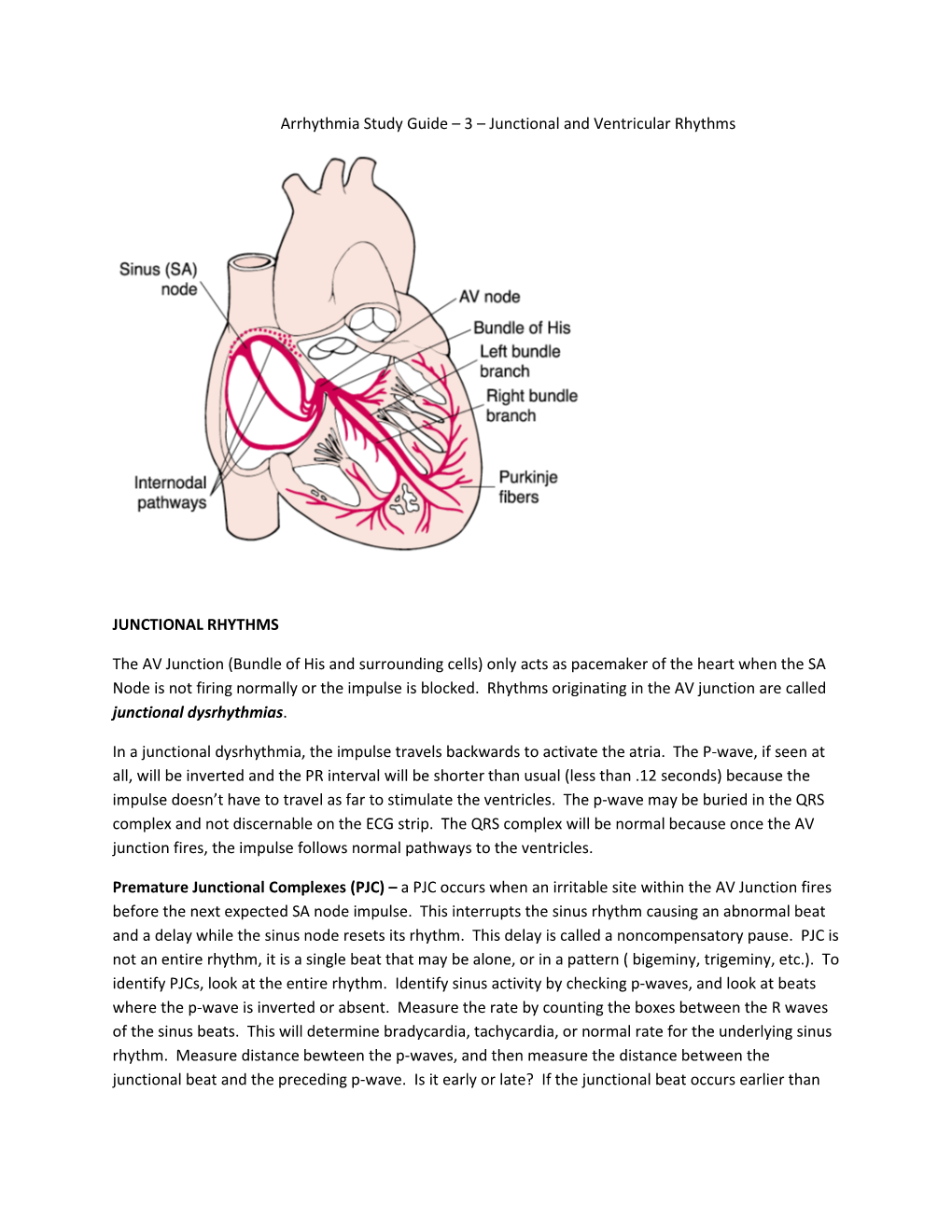 Arrhythmia Study Guide – 3 – Junctional and Ventricular Rhythms