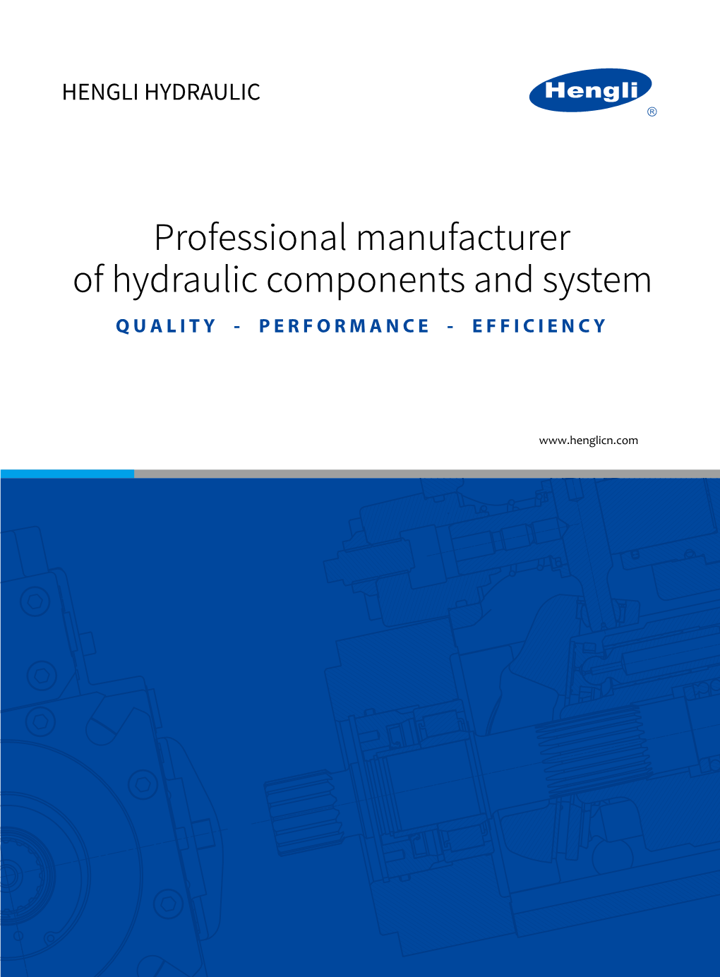 Professional Manufacturer of Hydraulic Components and System