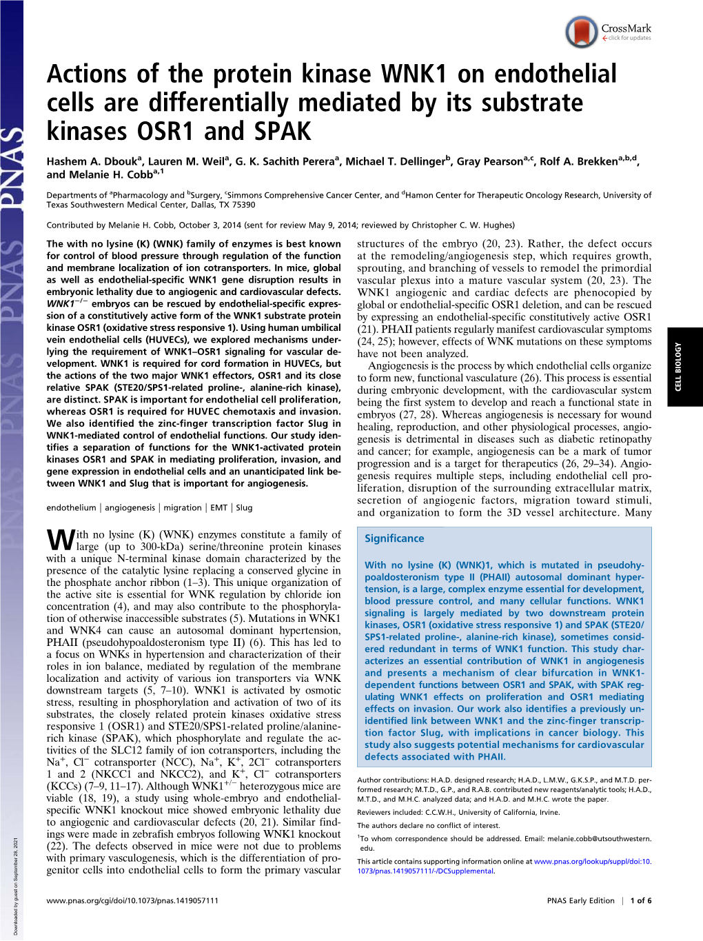 Actions of the Protein Kinase WNK1 on Endothelial Cells Are Differentially Mediated by Its Substrate Kinases OSR1 and SPAK