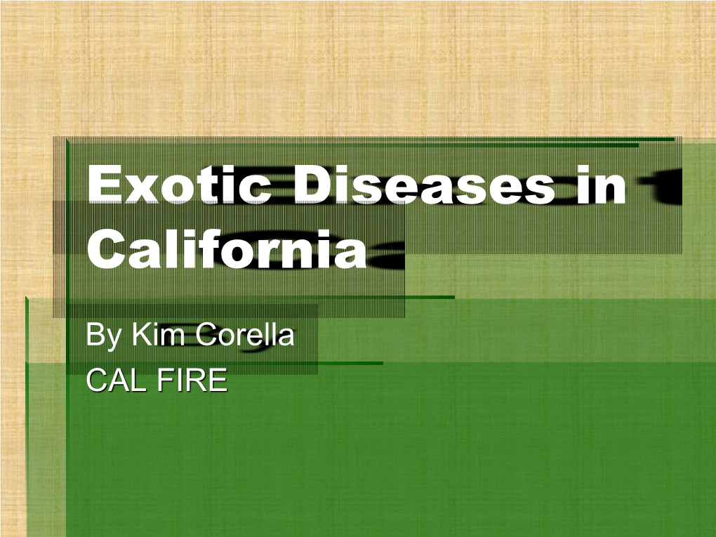 Exotic Diseases in California