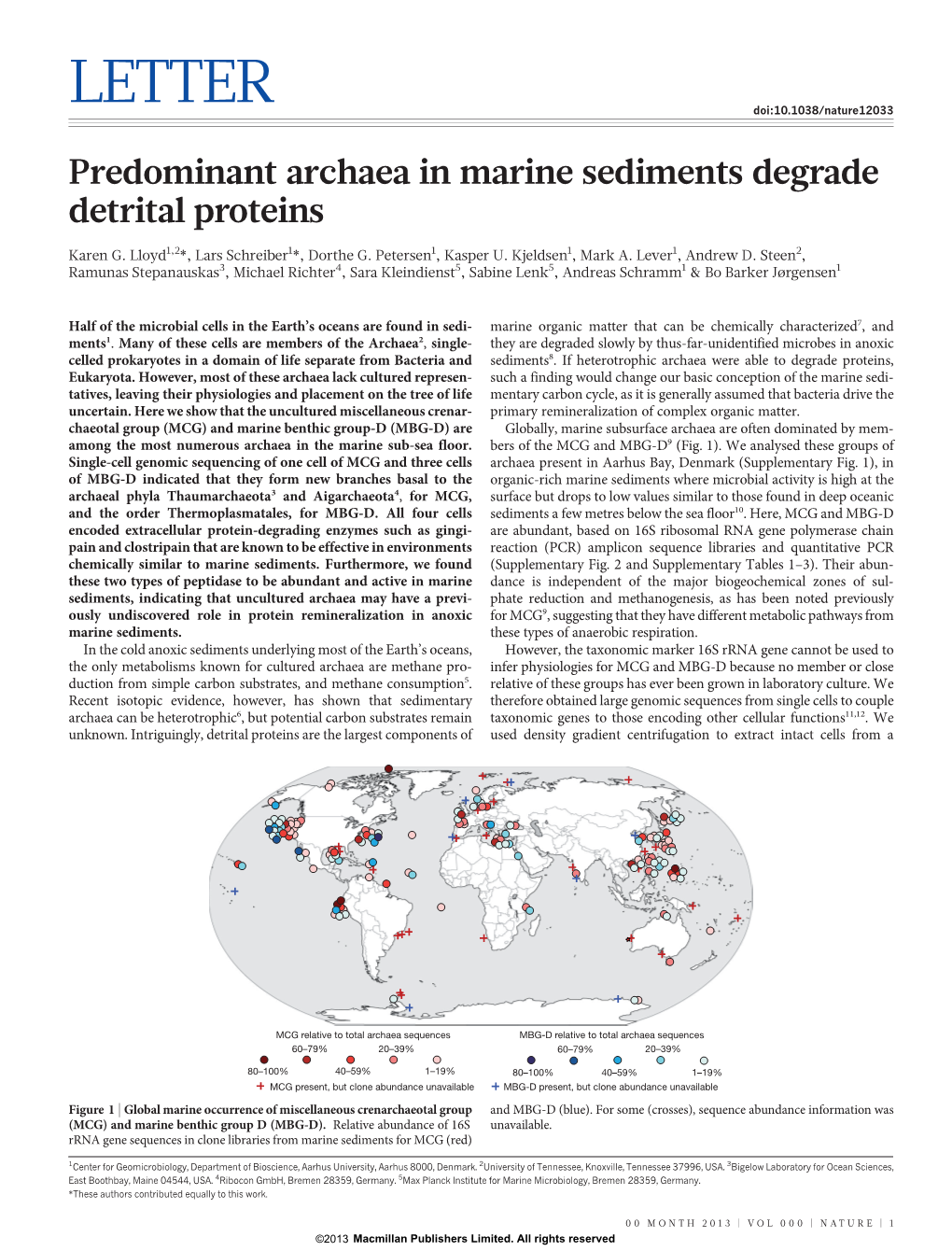 Predominant Archaea in Marine Sediments Degrade Detrital Proteins