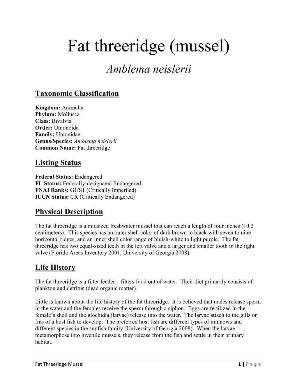 Fat Threeridge (Mussel)