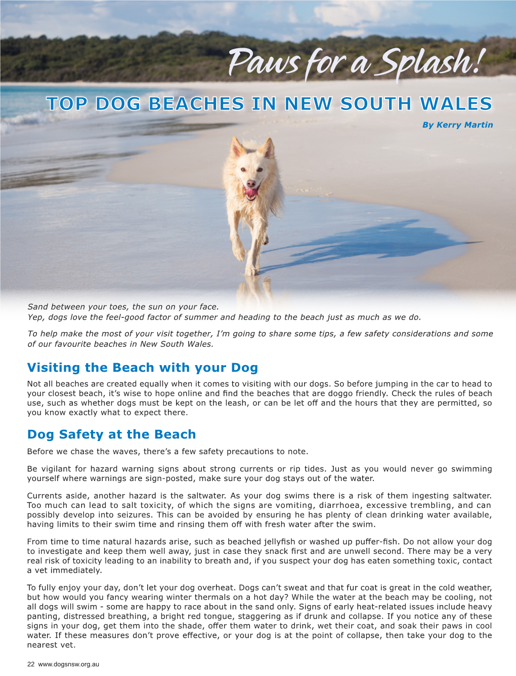 Top Dog Beaches in New South Wales and Now That We’Ve Covered That…