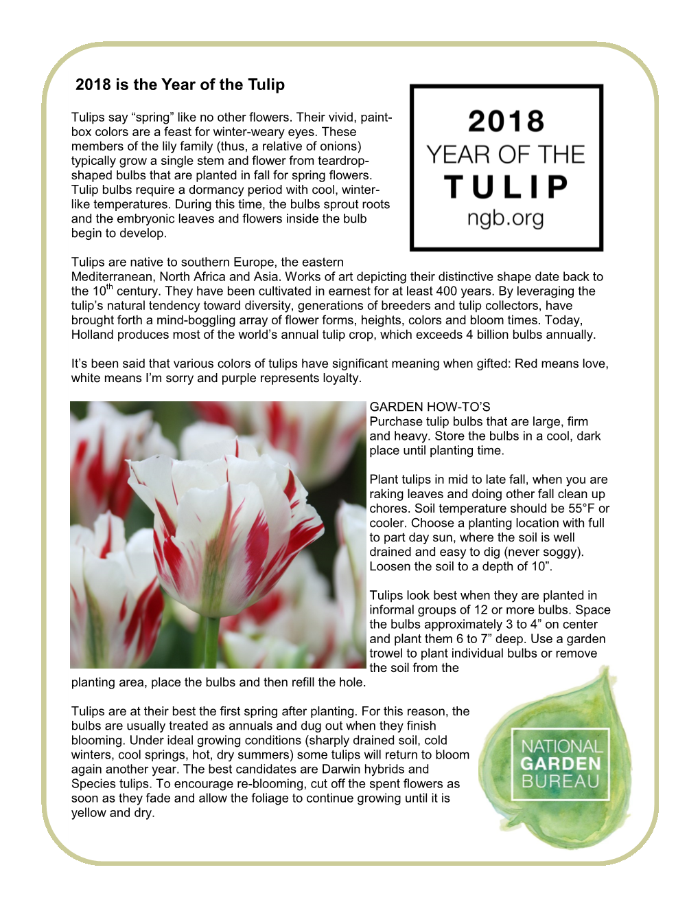 Tulip Fact Sheet