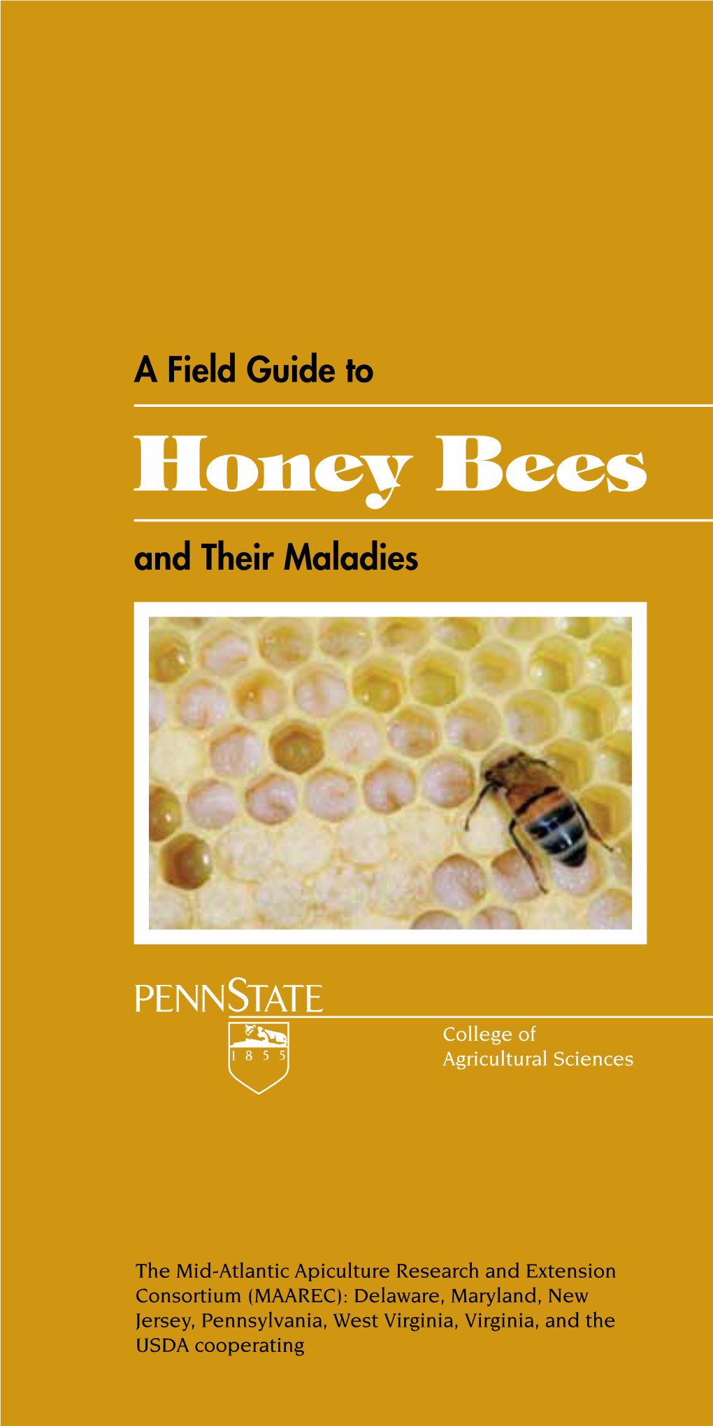 Honey Bees and Their Maladies