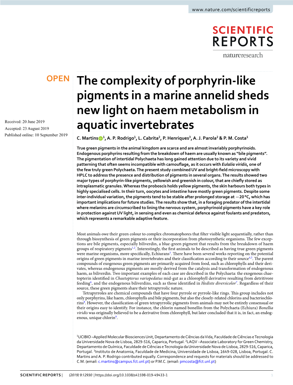 The Complexity of Porphyrin-Like Pigments