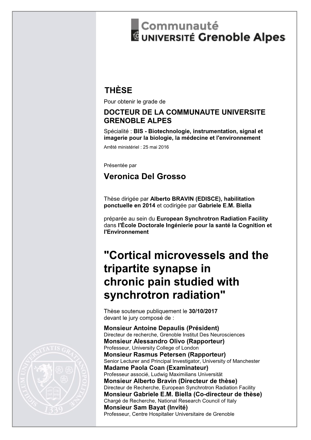 Cortical Microvessels and the Tripartite Synapse in Chronic Pain Studied with Synchrotron Radiation"