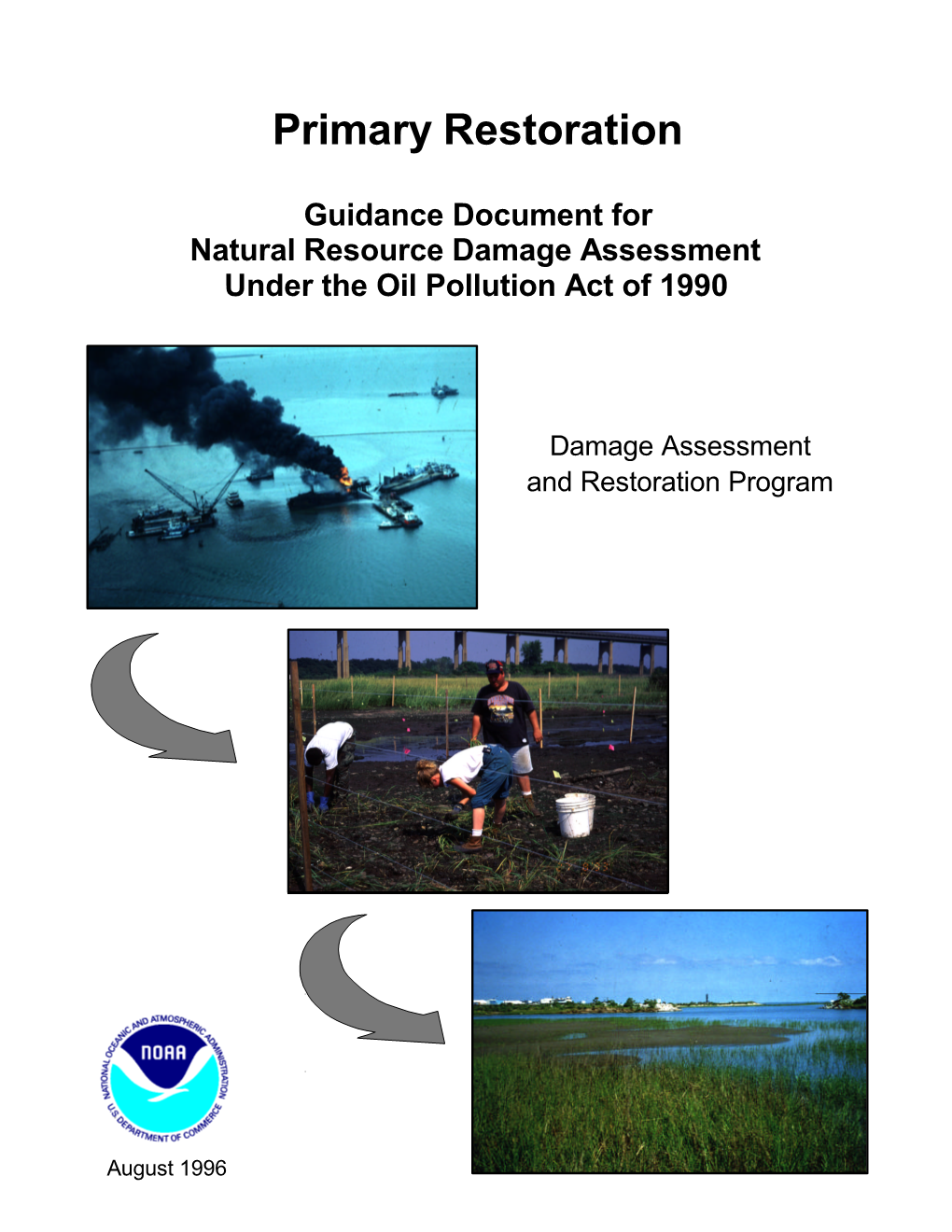 Primary Restoration Guidance Document for Natural Resource