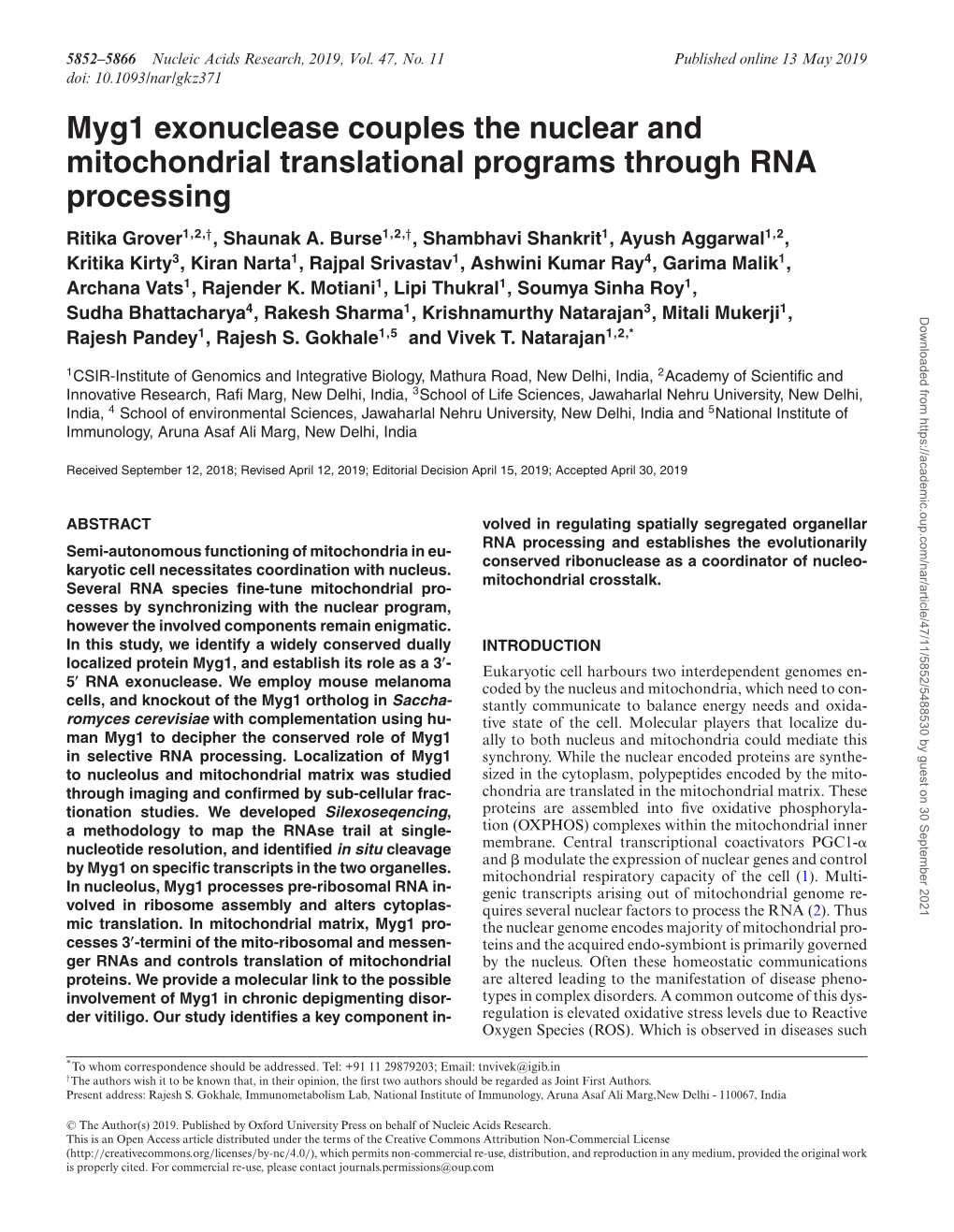 Myg1 Exonuclease Couples the Nuclear and Mitochondrial Translational Programs Through RNA Processing Ritika Grover1,2,†, Shaunak A