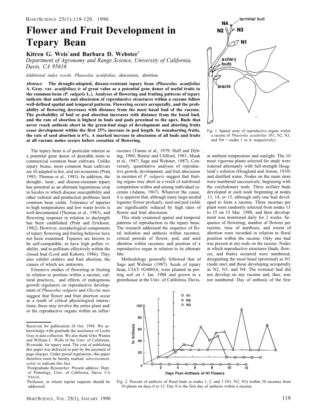 "Flower and Fruit Development in Tepary Bean"