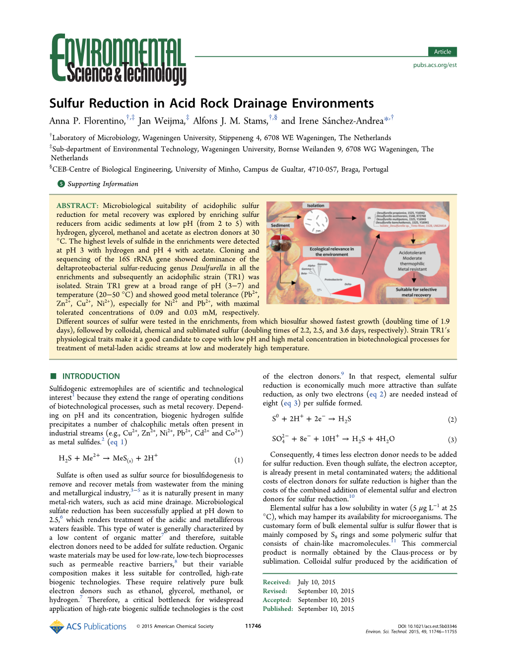 Sulfur Reduction in Acid Rock Drainage Environments Anna P