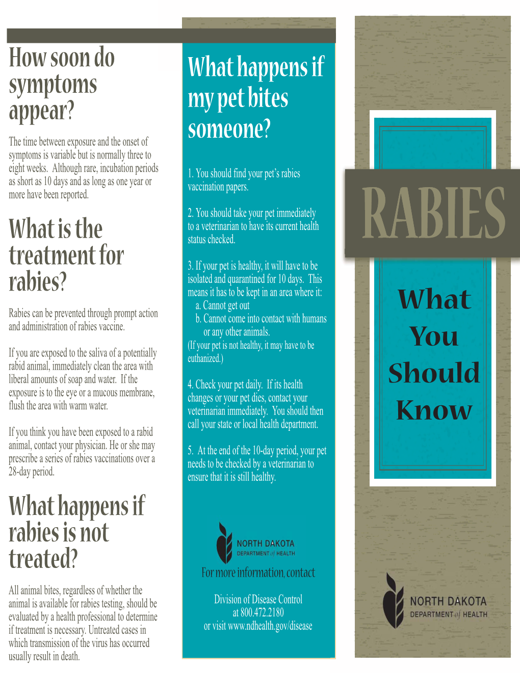 How Soon Do Symptoms Appear? What Is the Treatment for Rabies?