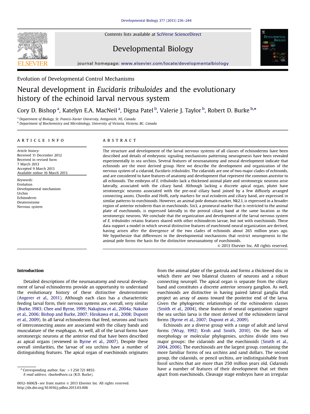 Neural Development in Eucidaris Tribuloides and the Evolutionary History of the Echinoid Larval Nervous System