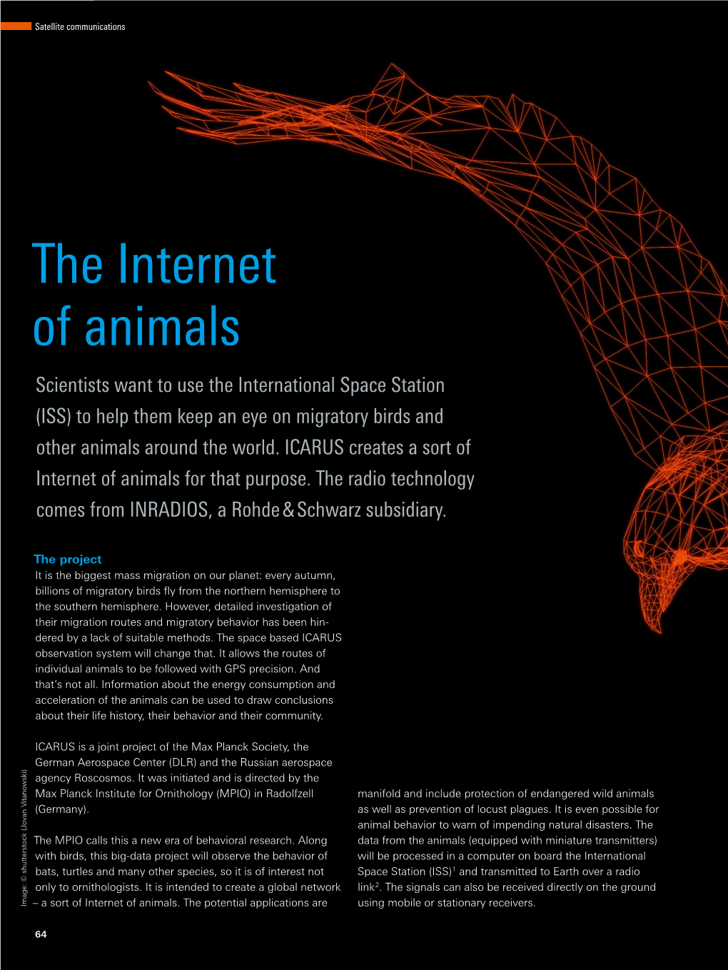 The Internet of Animals Scientists Want to Use the International Space Station (ISS) to Help Them Keep an Eye on Migratory Birds and Other Animals Around the World