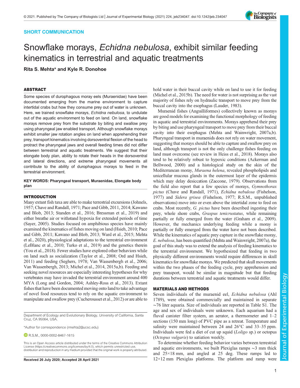 Snowflake Morays, Echidna Nebulosa, Exhibit Similar Feeding Kinematics in Terrestrial and Aquatic Treatments Rita S