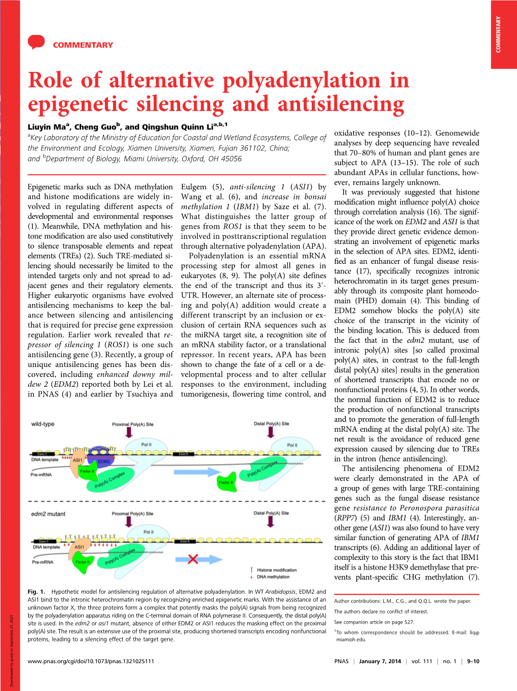 Role of Alternative Polyadenylation in Epigenetic Silencing and Antisilencing Liuyin Maa, Cheng Guob, and Qingshun Quinn Lia,B,1 Oxidative Responses (10–12)