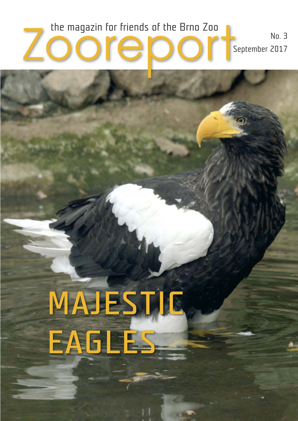 MAJESTIC EAGLES S Content