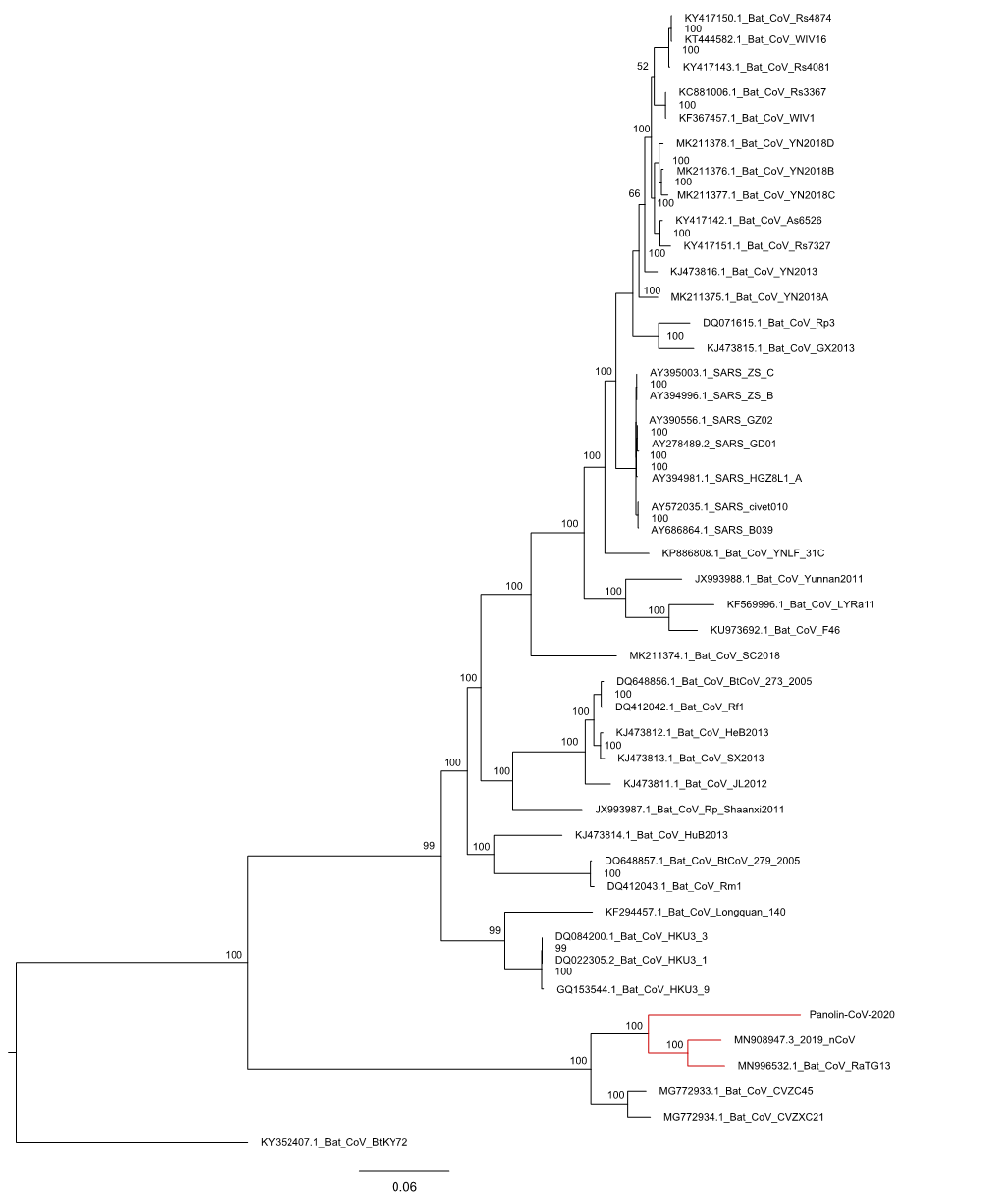 KJ473814.1 Bat Cov Hub2013 KU973692.1 Bat Cov F46