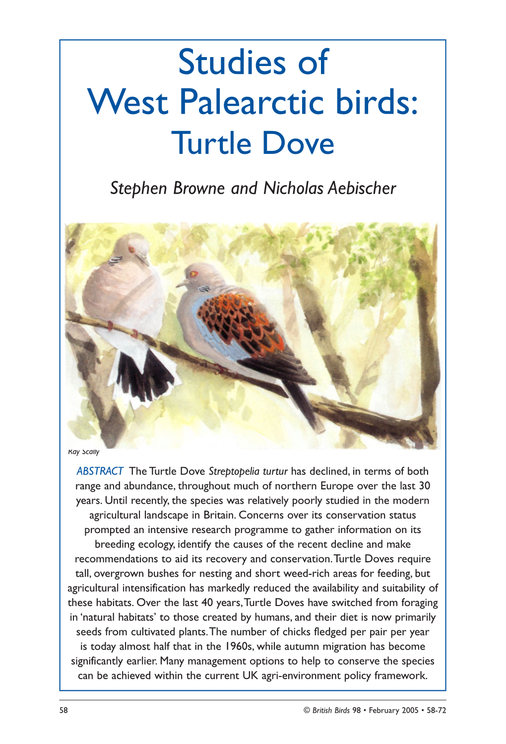 Turtle Dove Stephen Browne and Nicholas Aebischer