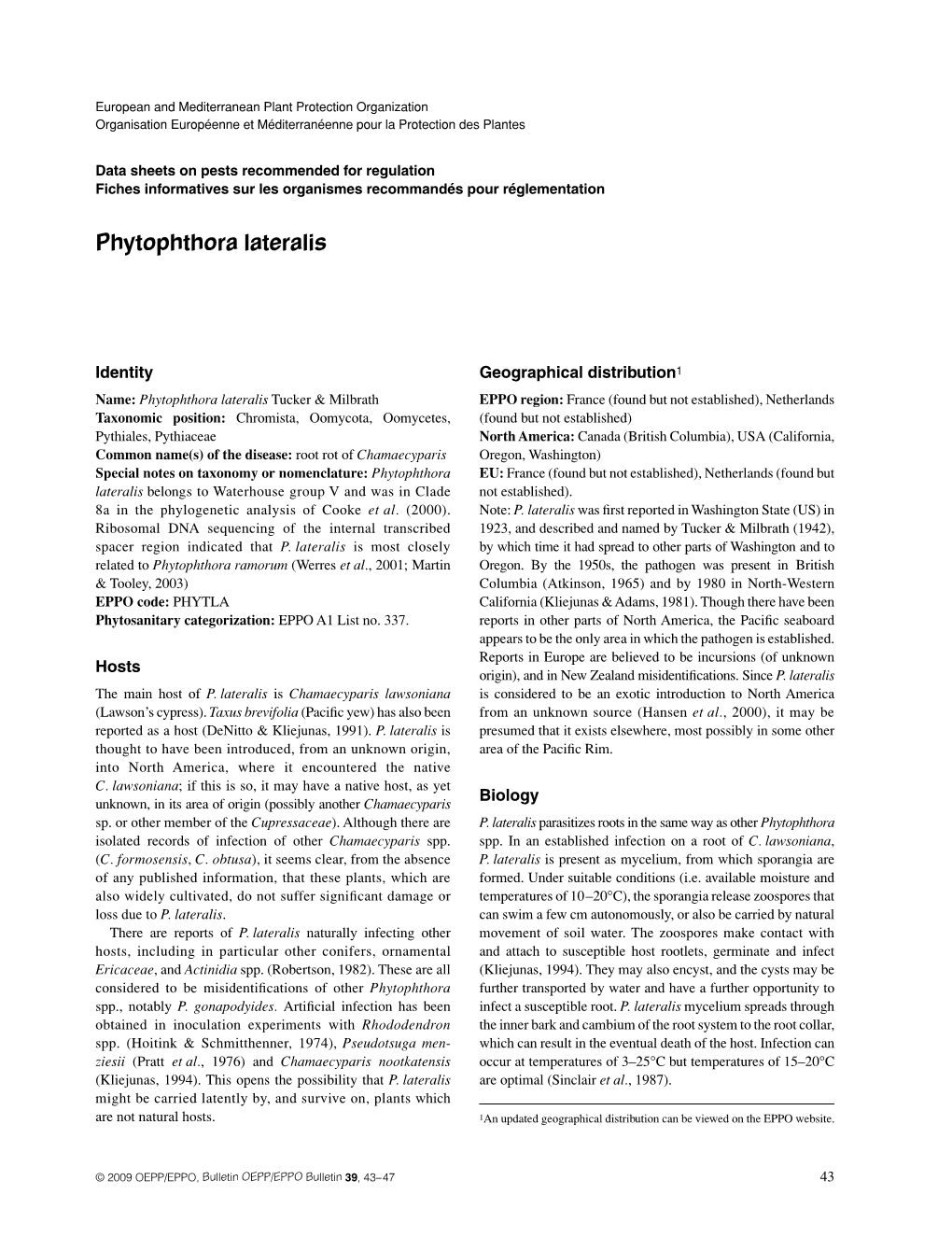 Phytophthora Lateralis