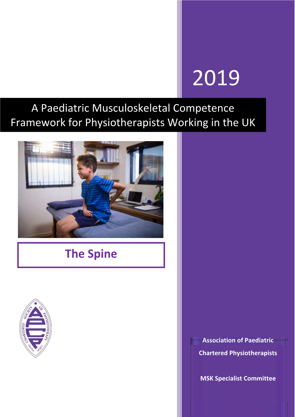 A Paediatric Musculoskeletal Competence Framework For