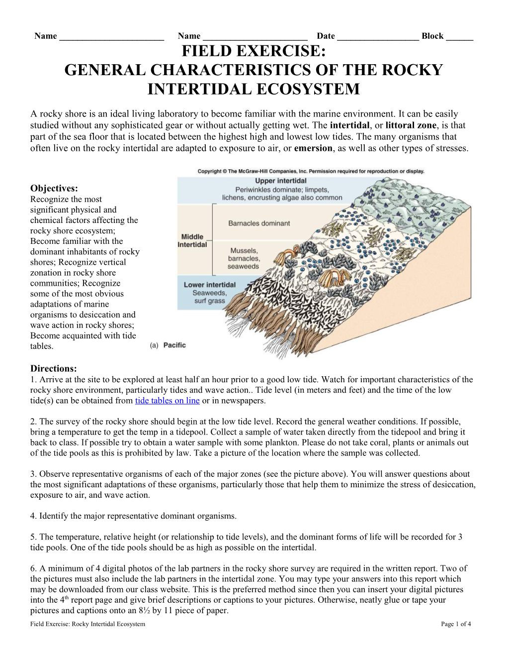 General Characteristics of the Rocky