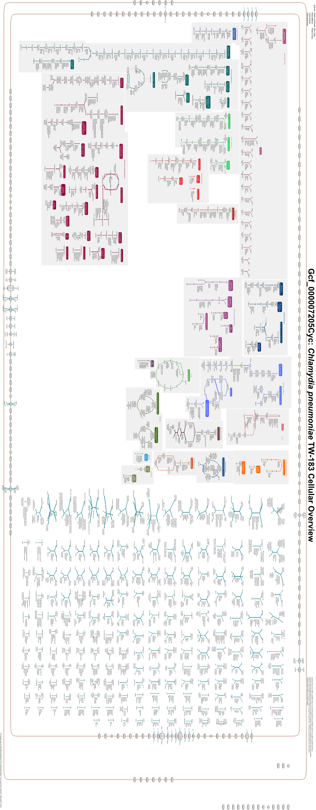 Generated by SRI International Pathway Tools Version 25.0, Authors S