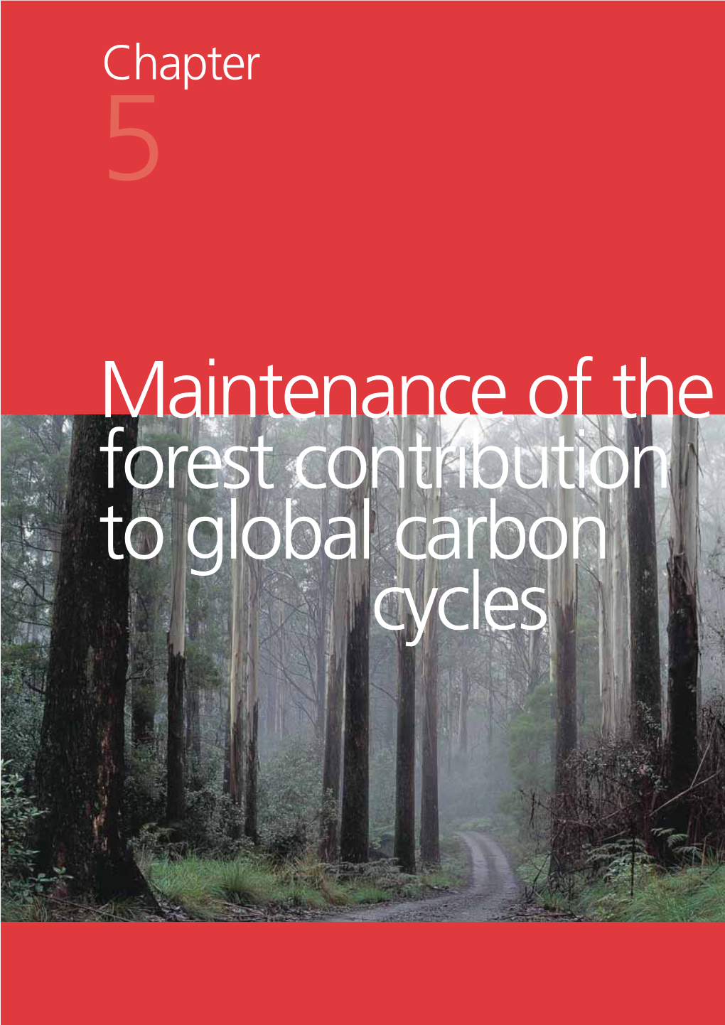 Maintenance of the Forest Contribution to Global Carbon Cycles Is Also Released Is Also Released 2