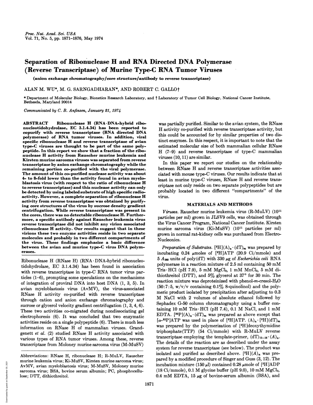 (Reverse Transcriptase) of Murine Type-C RNA Tumor Viruses (Anion Exchange Chromatography/Core Structure/Antibody to Reverse Transcriptase) ALAN M