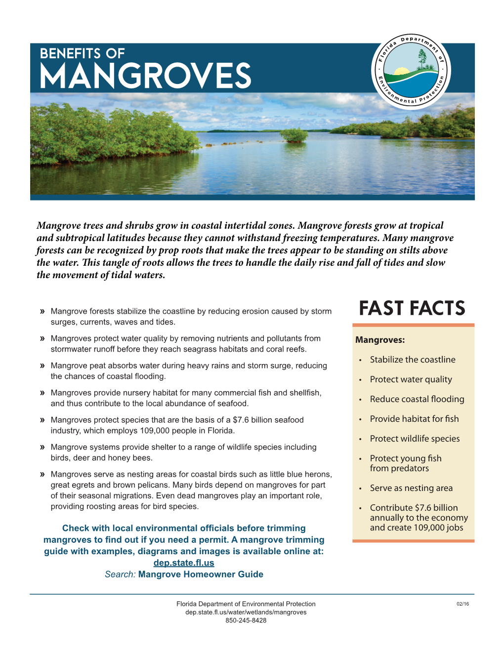 Benefits of MANGROVES