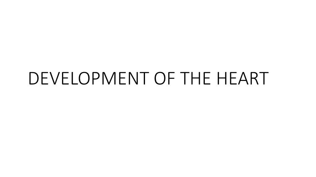 DEVELOPMENT of the HEART Angiogenic Clusters • Cells That Give Rise to the Cardiovascular System First Appear in Week 3