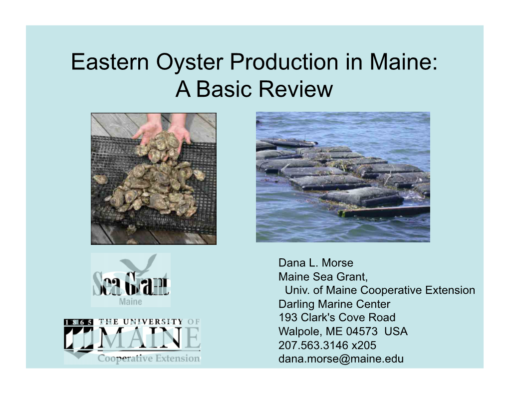 Eastern Oyster Production in Maine: a Basic Review