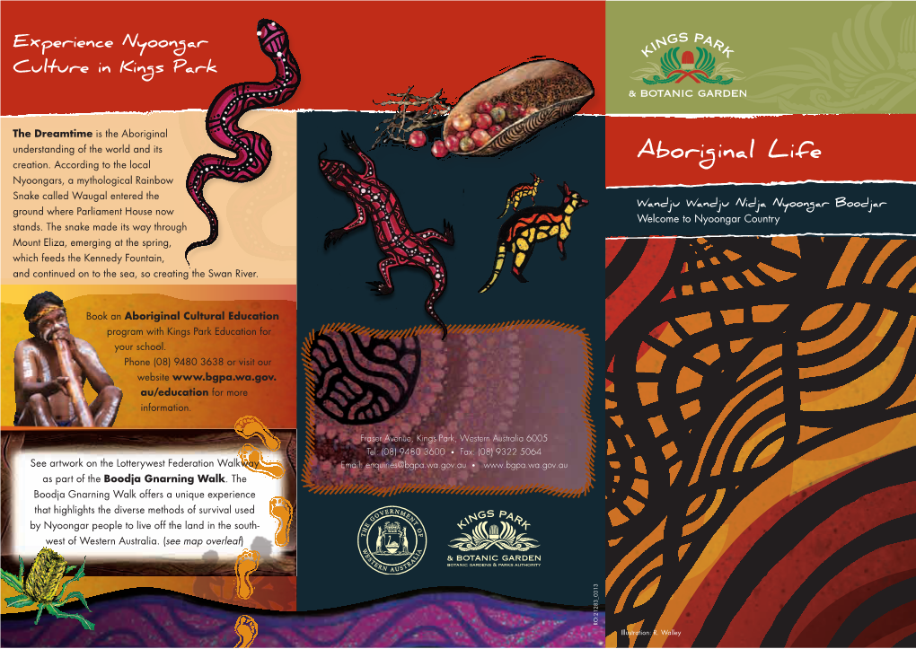 Aboriginal Life Brochure