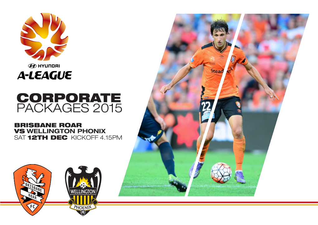 Corporate Packages 2015
