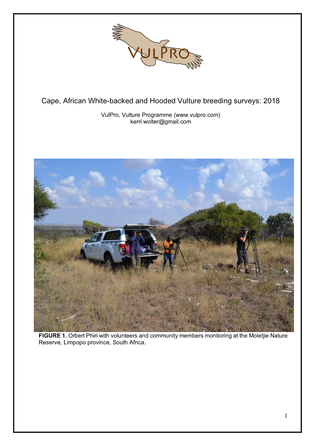 Cape, African White-Backed and Hooded Vulture Breeding Surveys: 2018