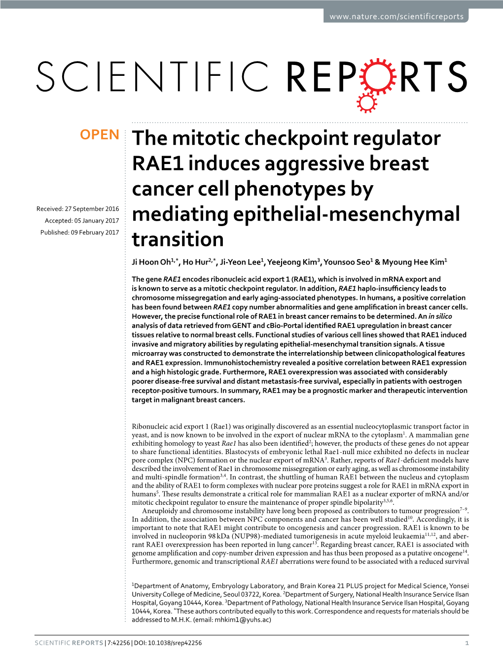 The Mitotic Checkpoint Regulator RAE1 Induces Aggressive
