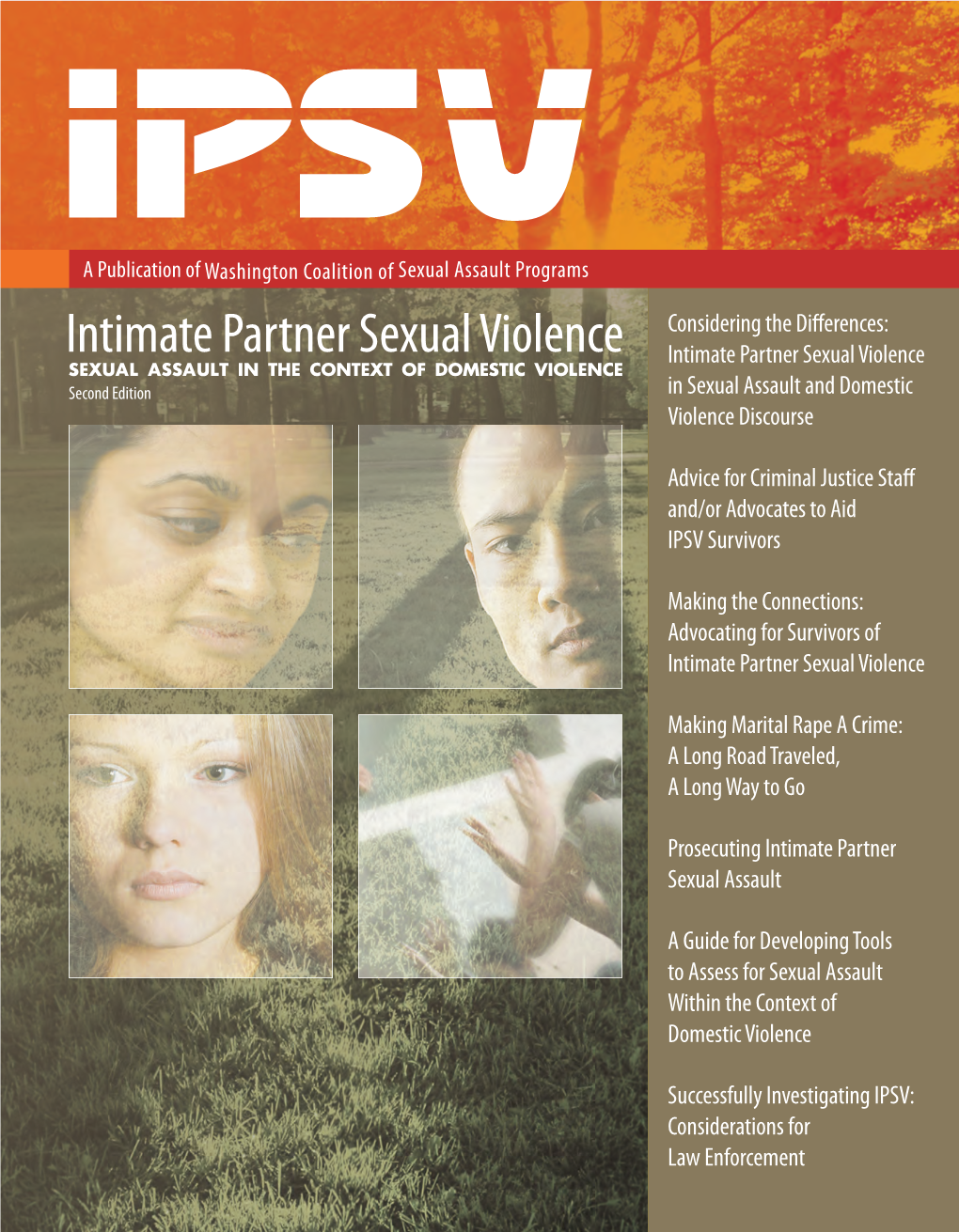 Intimate Partner Sexual Violence (IPSV) and the Range of Issues It Carries As Distinct from General Sexual Assault Or Domestic Violence, Was Not Well-Defined