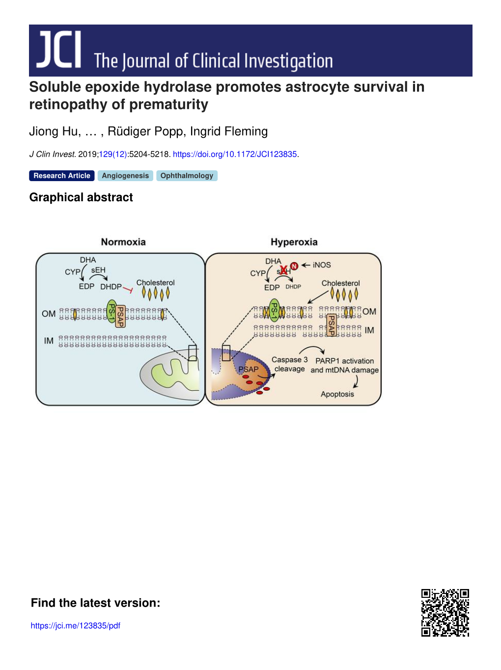 Soluble Epoxide Hydrolase Promotes Astrocyte Survival in Retinopathy of Prematurity