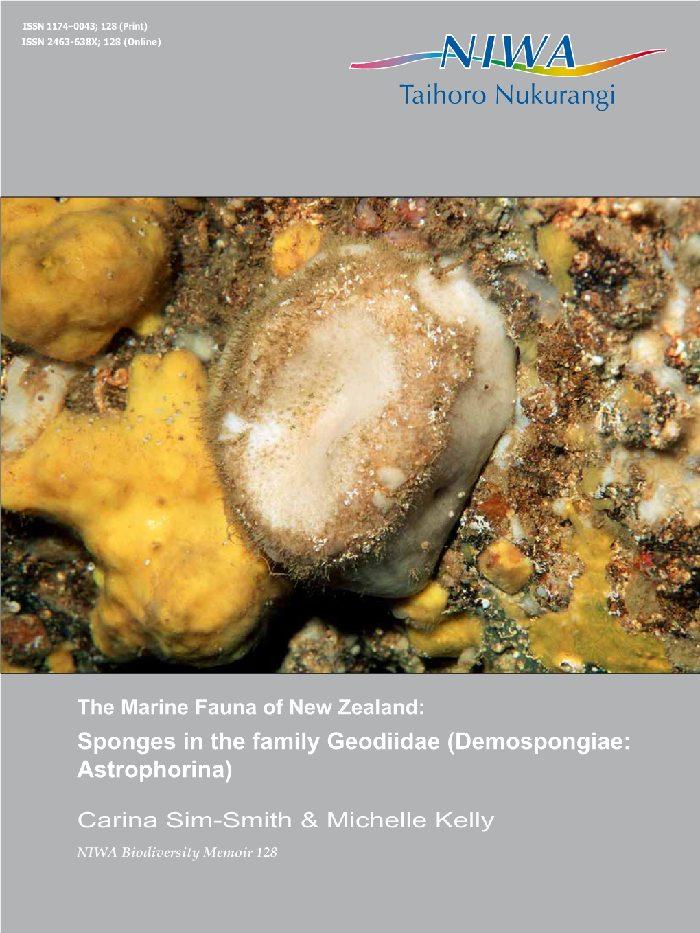 Sponges in the Family Geodiidae (Demospongiae: Astrophorina)