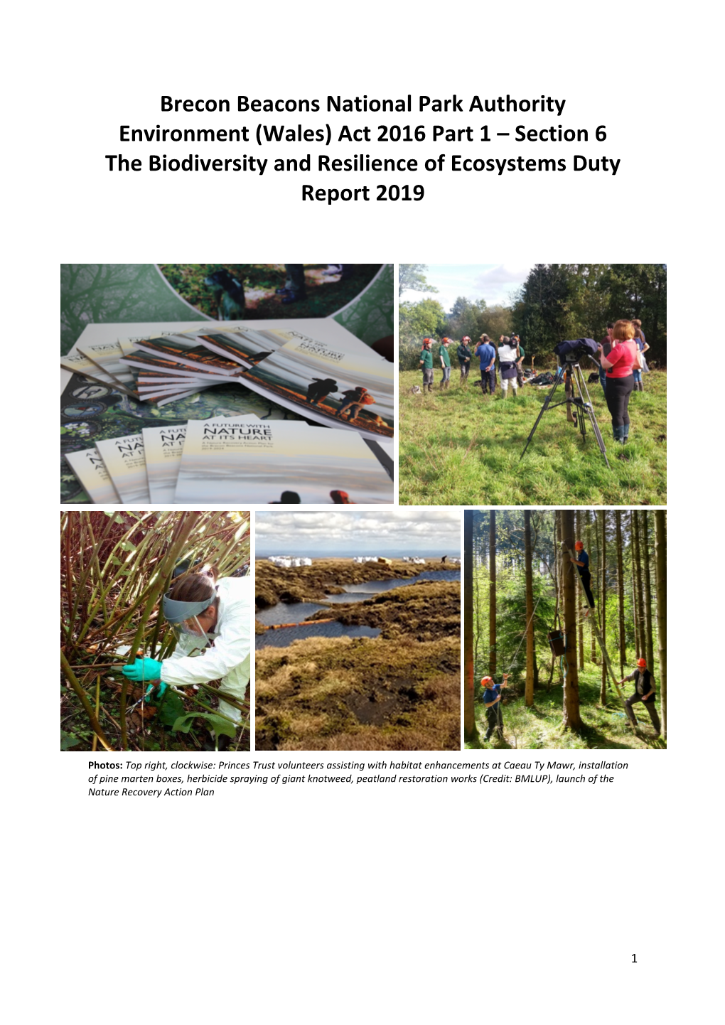 Brecon Beacons National Park Authority Environment (Wales) Act 2016 Part 1 – Section 6 the Biodiversity and Resilience of Ecosystems Duty Report 2019